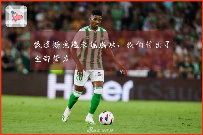 很遗憾竞选未能成功，我们付出了全部努力