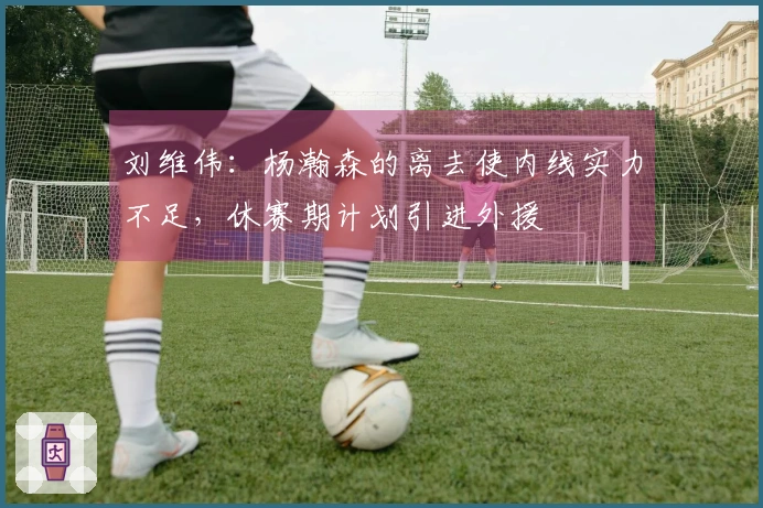 刘维伟：杨瀚森的离去使内线实力不足，休赛期计划引进外援